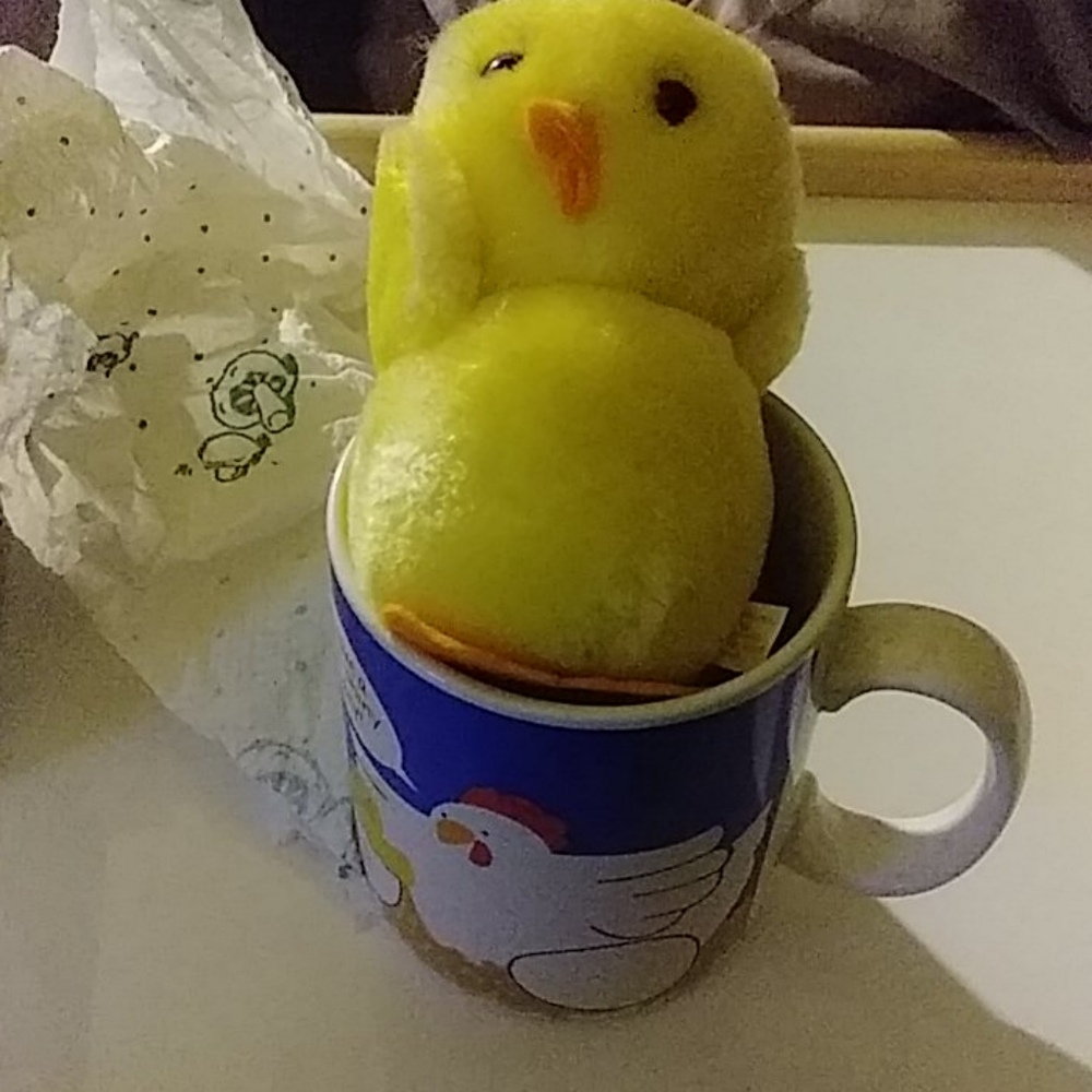 Chick N' Mug